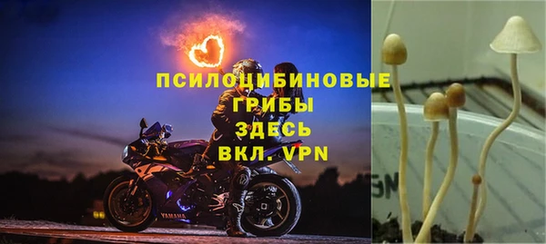 гашиш Абаза