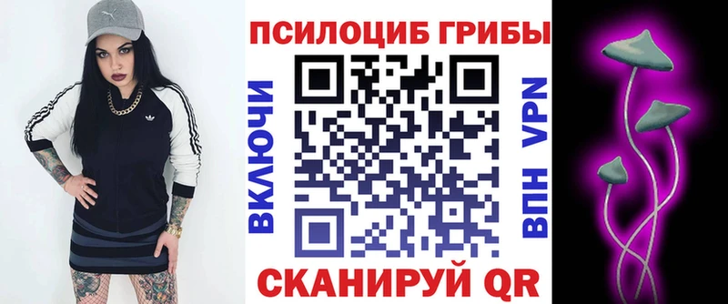 где купить наркоту  Нарьян-Мар  дарк нет наркотические препараты  Галлюциногенные грибы ЛСД 