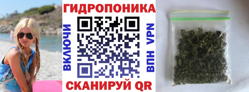 Конопля OG Kush Нарьян-Мар